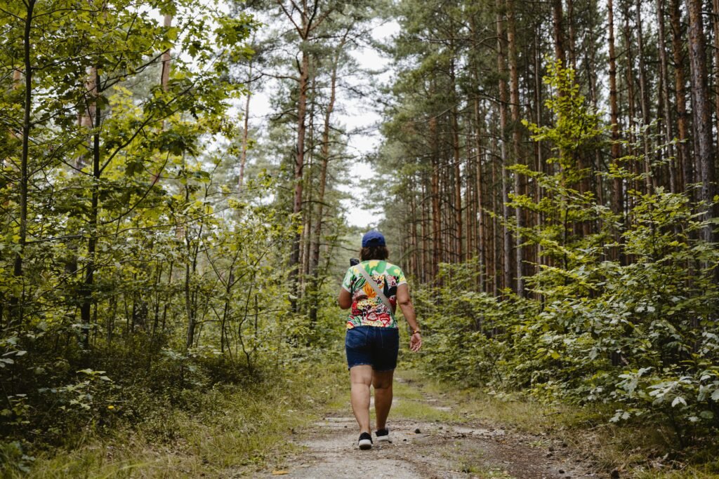 Home A person walking through a forest path in Saxony, Germany, enjoying a summer hike.